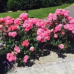 Daire View & Garden Schauenstein