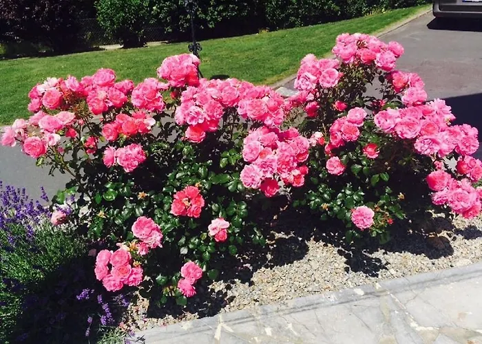 Daire View & Garden Schauenstein